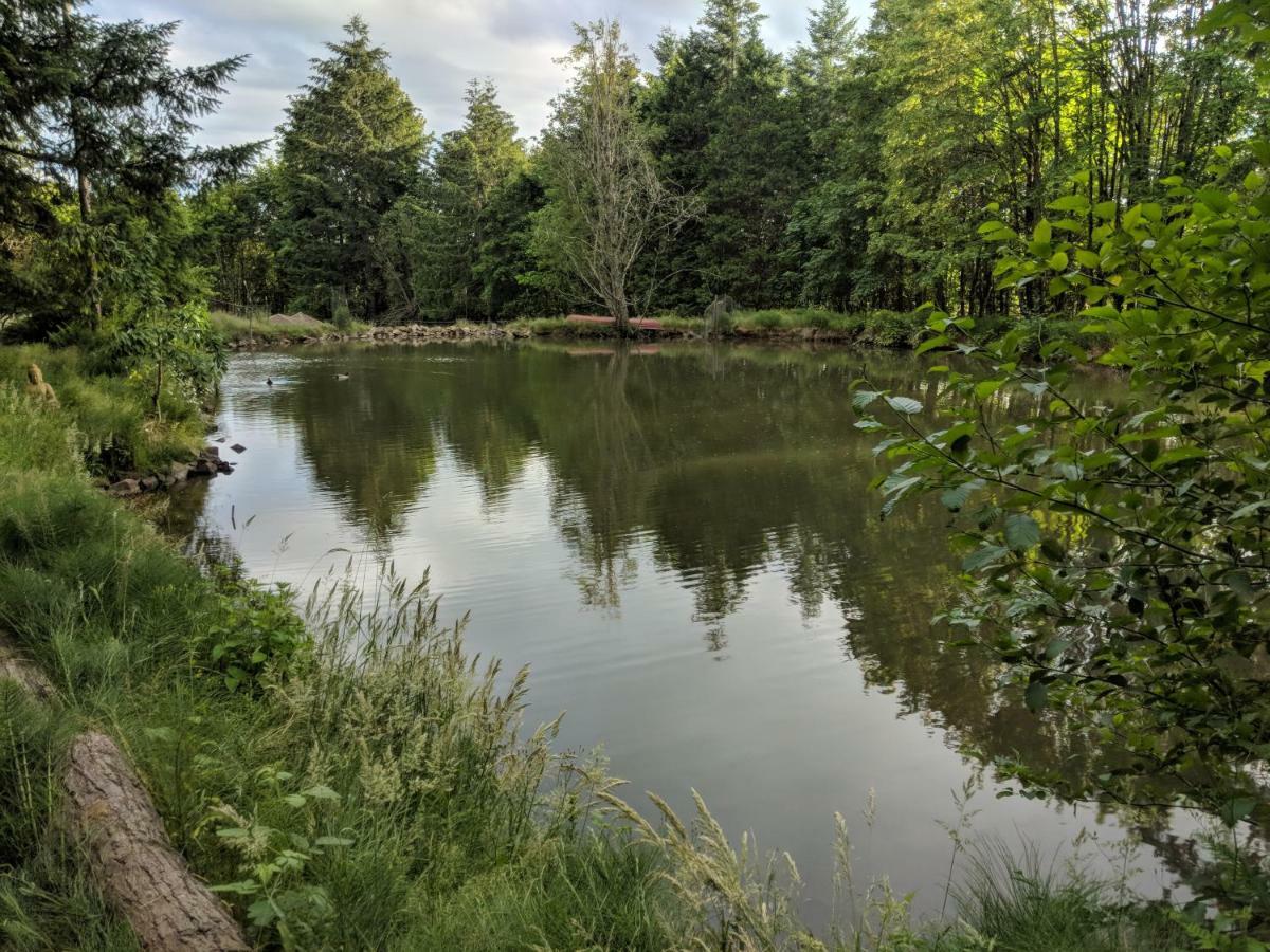 Villa Healing Ponds Farm à Buxton Extérieur photo